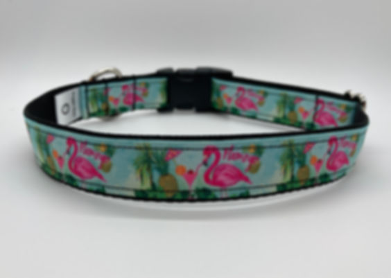 Flamingo (Blue) Dog Collar