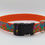 Thumbnail: Tropical Flowers Dog Collar