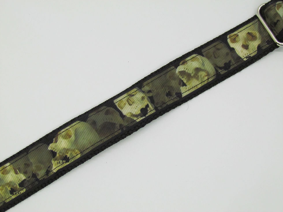 Thumbnail: Skulls Dog Collar