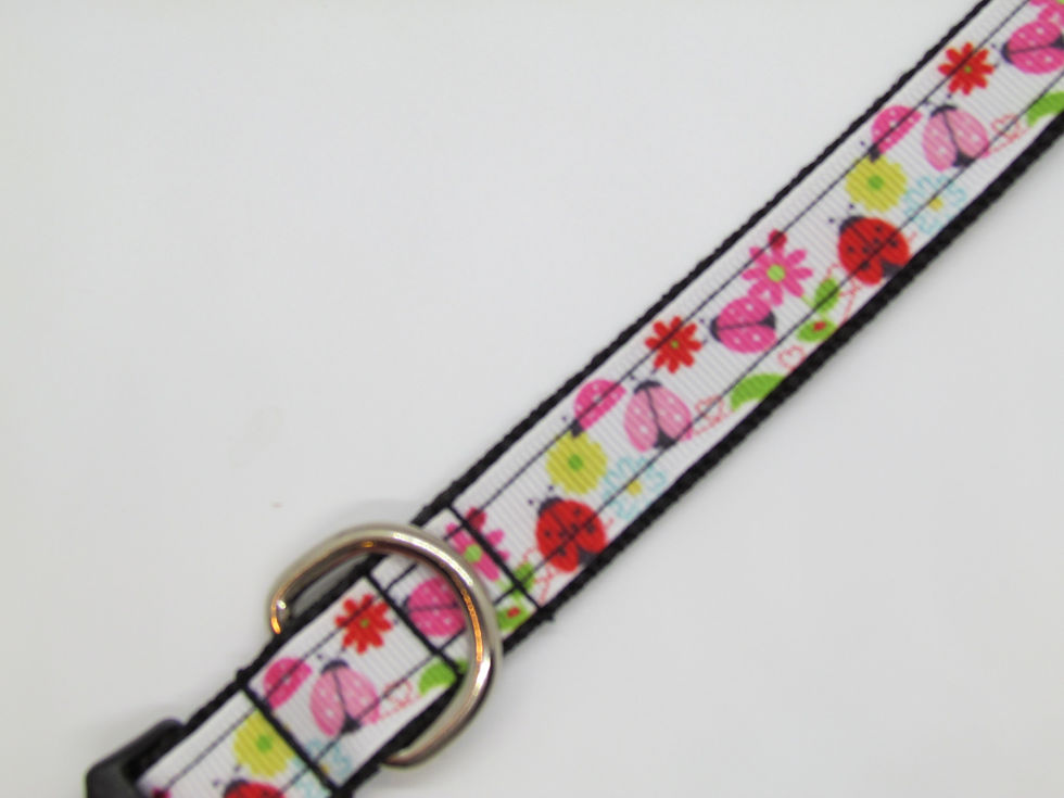 Thumbnail: Small Pink Lady Bugs and Flowers Dog Collar