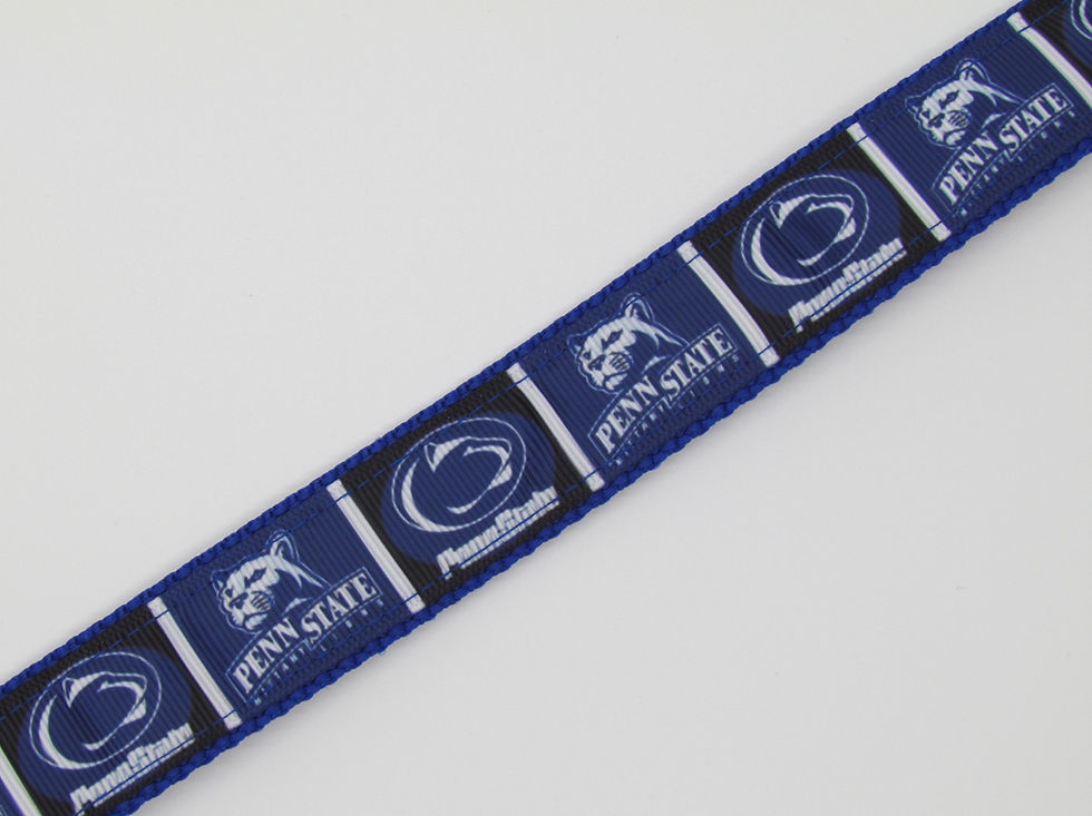 Thumbnail: Penn State (Blue) Inspired Dog Collar