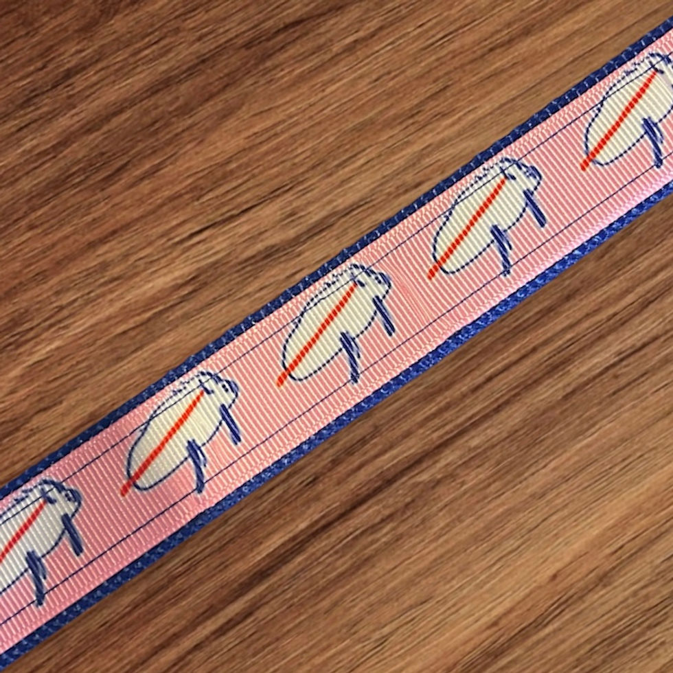 Thumbnail: Pink Buffalo Football Josh Allen “Potato” Custom Dog Collar