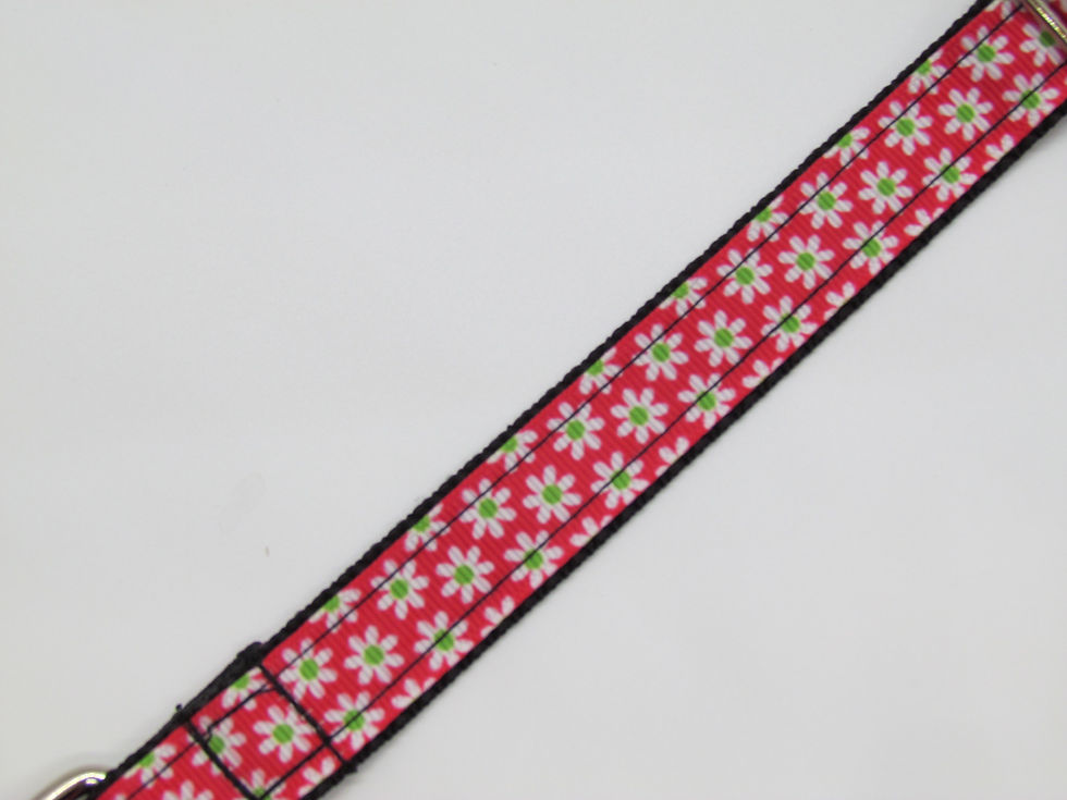 Thumbnail: Small Daisies Dog Collar