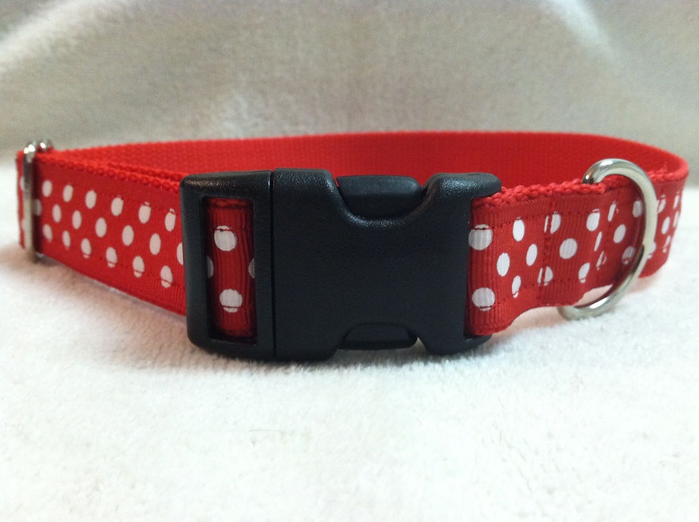 Red and White Polka Dot Dog Collar