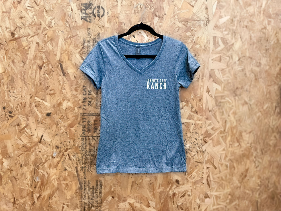 Thumbnail: LTR V-Neck Shirt