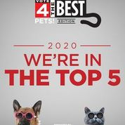 vote 4 2020.jpeg