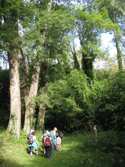 Septembre Vallée de l'Automne (60)