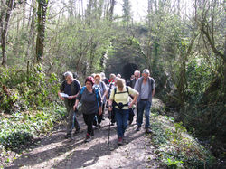 Avril Vallée de Chevreuse