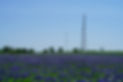 AdobeStock_435724322.jpeg