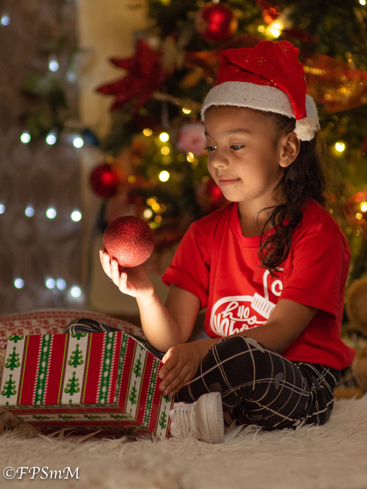 Mi Navidad 2021-7.jpg