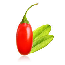 goji2