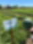 Variedad SWM-10