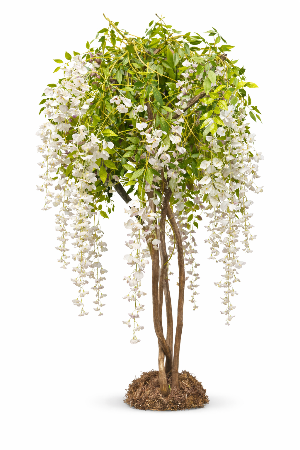 Pure Grace White Tree