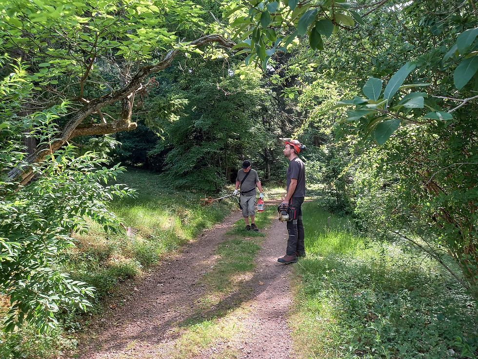 6ème atelier bénévole