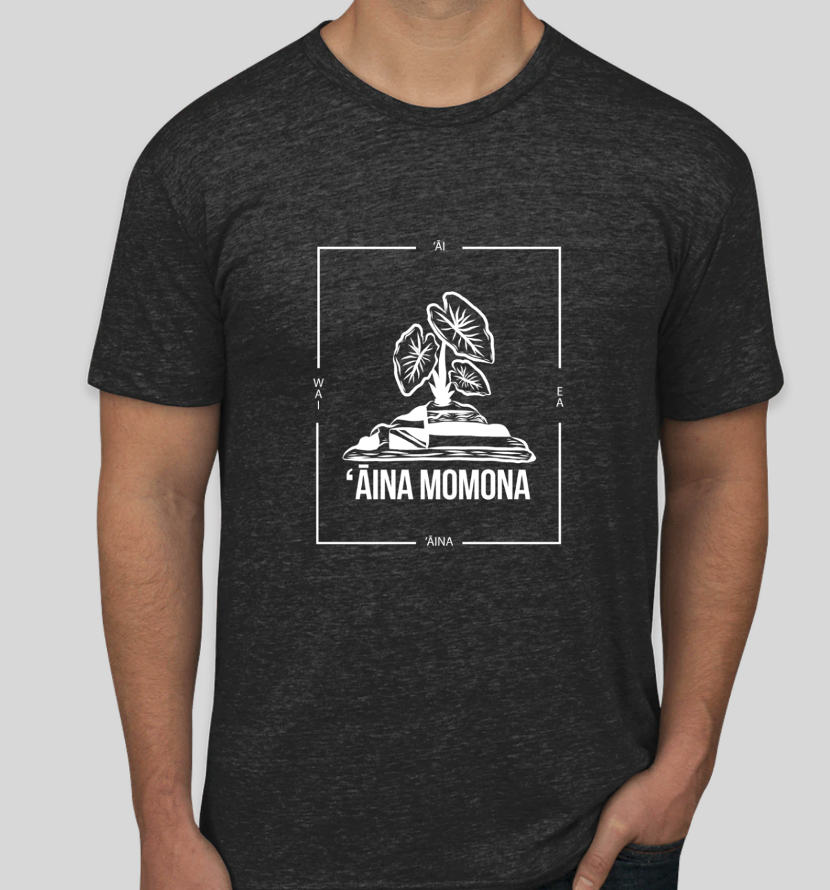 ʻĀina Momona [ʻĀina, ʻAi, Wai, Ea] Black Triblend Tee