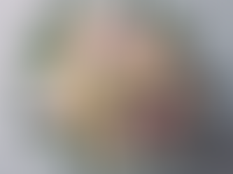 Capturing Love: Wedding Content Australia Portfolio