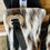 Thumbnail: Cowhide Hearts (Size  6)