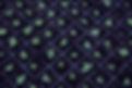 _CF70403_edited.jpg