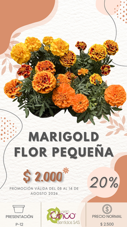 MARIGOLD FLOR PEQUEÑA