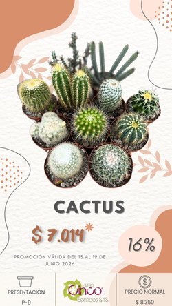 CACTUS