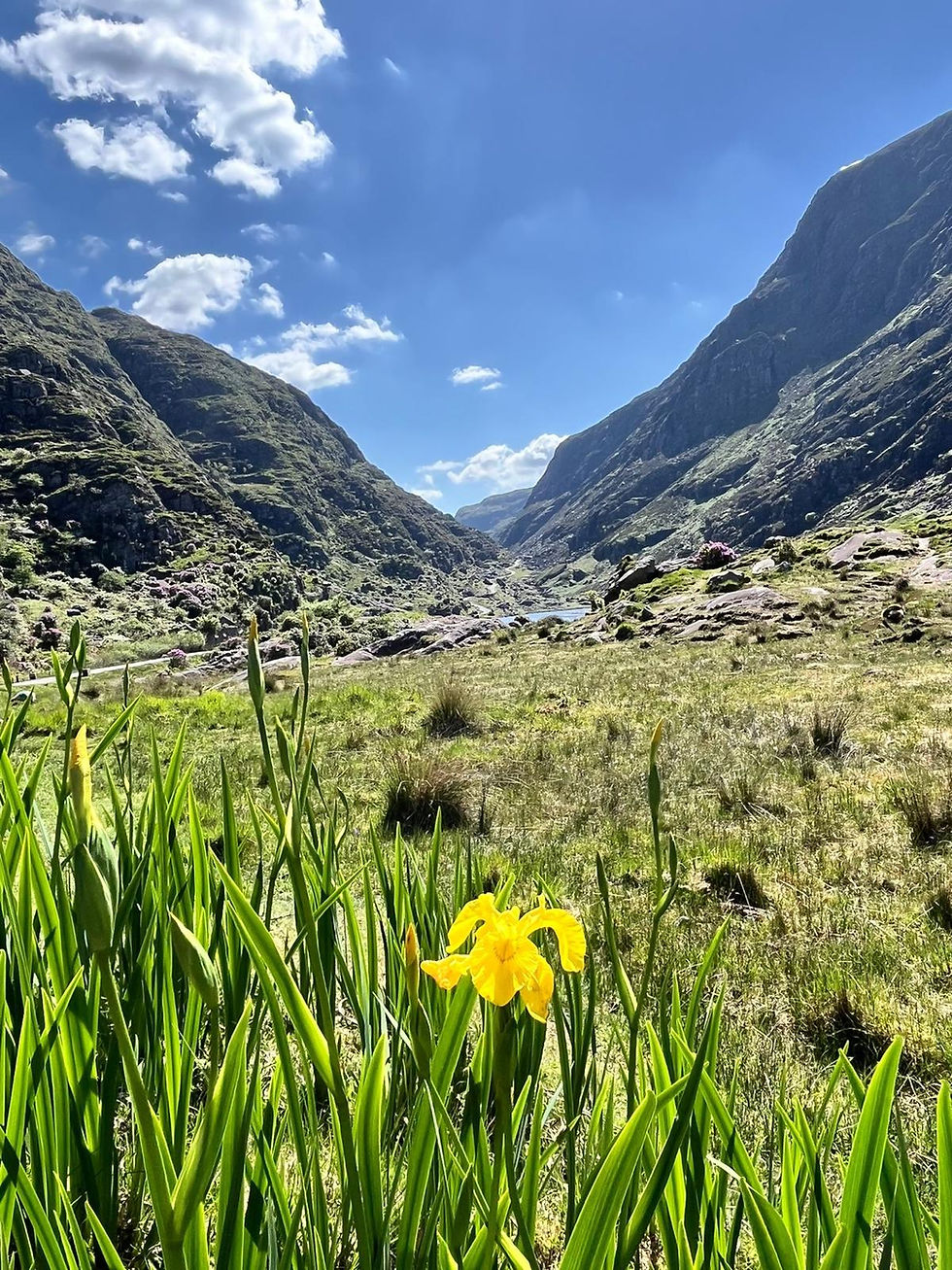 Gap of Dunloe scenery