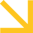 seta_edited.png