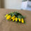 Miniatura: Tulipán Amarillo 10 Varas
