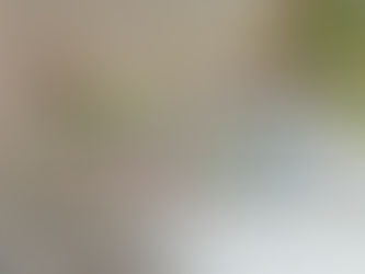 夏のテーマは、海🌊