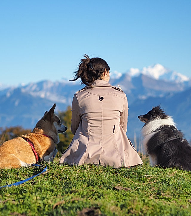 Dogsitter de confiance: éducateur canin comportementaliste Dogsitter de confiance: éducateur canin comportementaliste