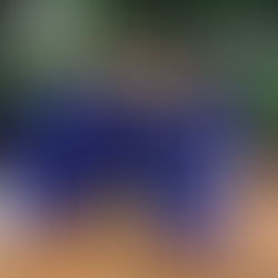 "Charms Pumping Up Our Hearts in Unity"
 May 21, 2016