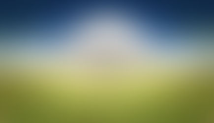 How to Cultivate Donors Online: The “Field of Dreams” Problem and How to Fix It