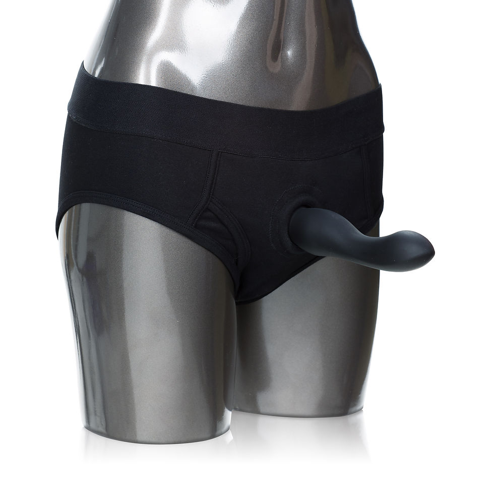 Thumbnail: Packer Gear Brief Harness - Extra Small/small - Black