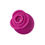 Thumbnail: Blush Collection the Original Blush Rose - Velvet