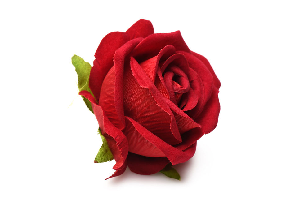 Thumbnail: The Rose Lover's Gift Box Bloomgasm - Red