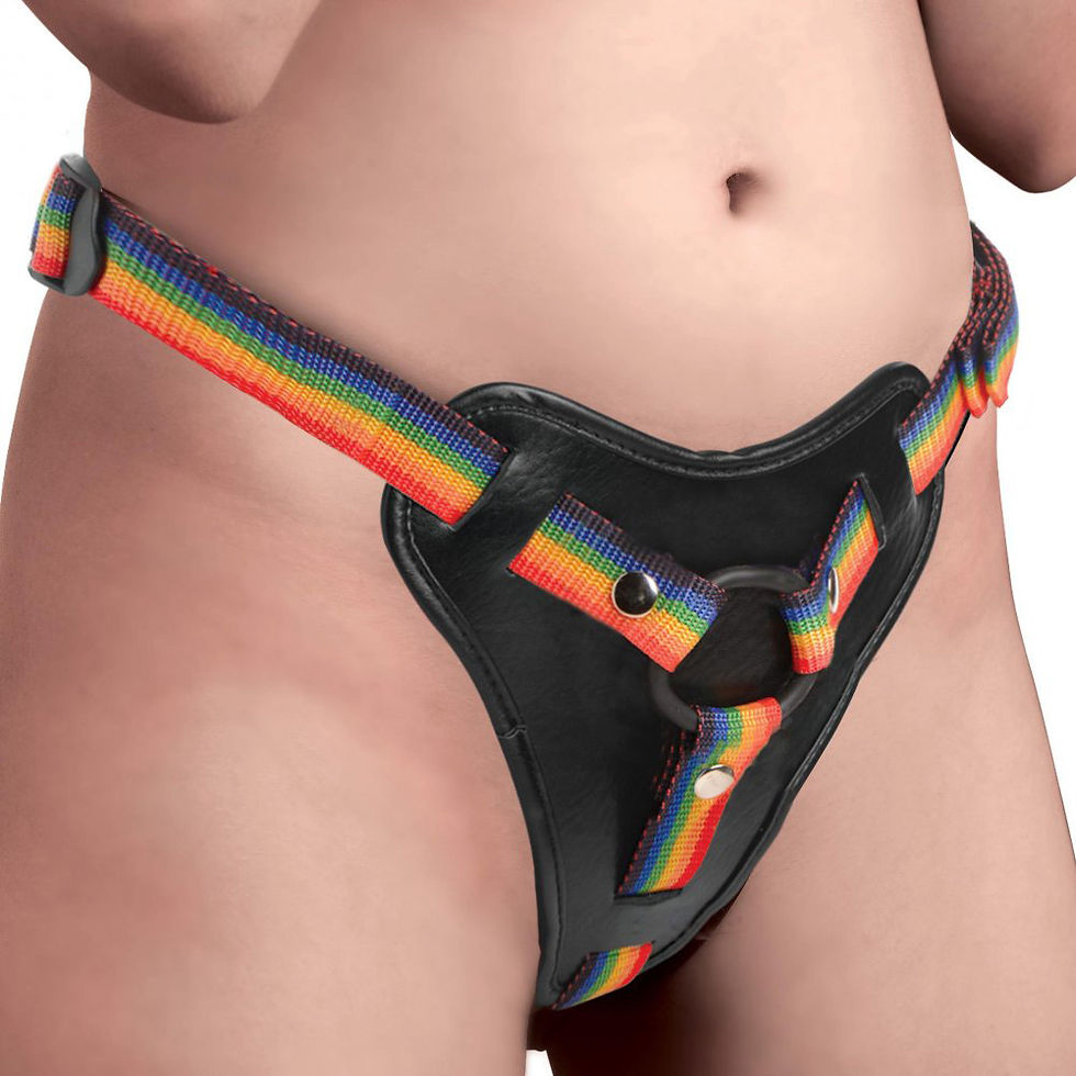 Thumbnail: Take the Rainbow Universal Harness