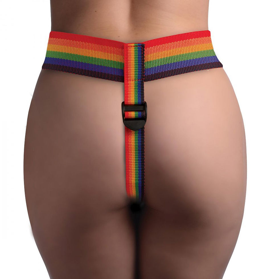 Thumbnail: Take the Rainbow Universal Harness