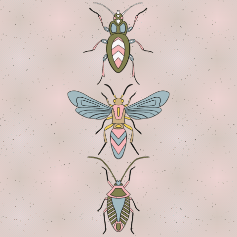 Untitled_Artwork.gif
