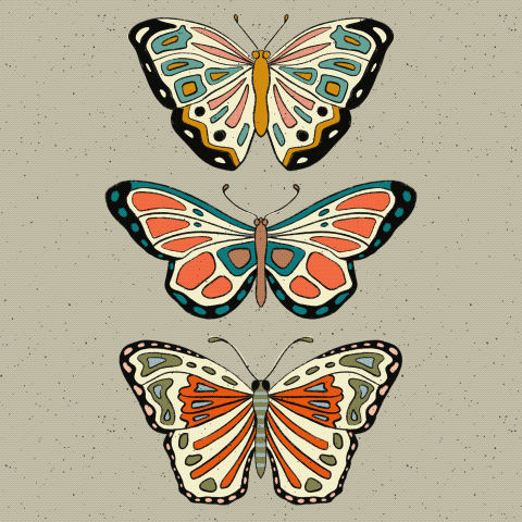 Untitled_Artwork 2.gif