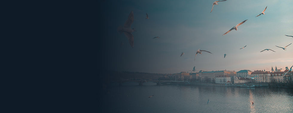 pikes-legal-homepage-slider.jpg