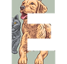 Pet Letter E.png