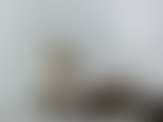 white subway tiles in a kitchen setting