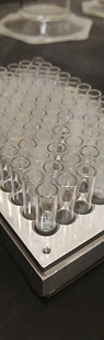 01reagents in, ready to go.jpg