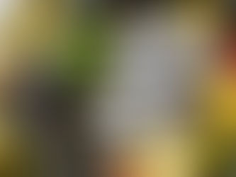 LES OMEGA 3, QU'EST CE QUE C'EST