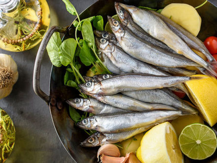 LES OMEGA 3, QU'EST CE QUE C'EST