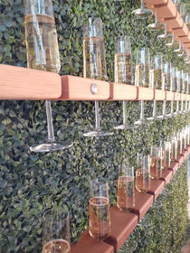 Champagne wall