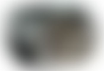 komentarz do tory (49) – przeczytaj i pomyśl