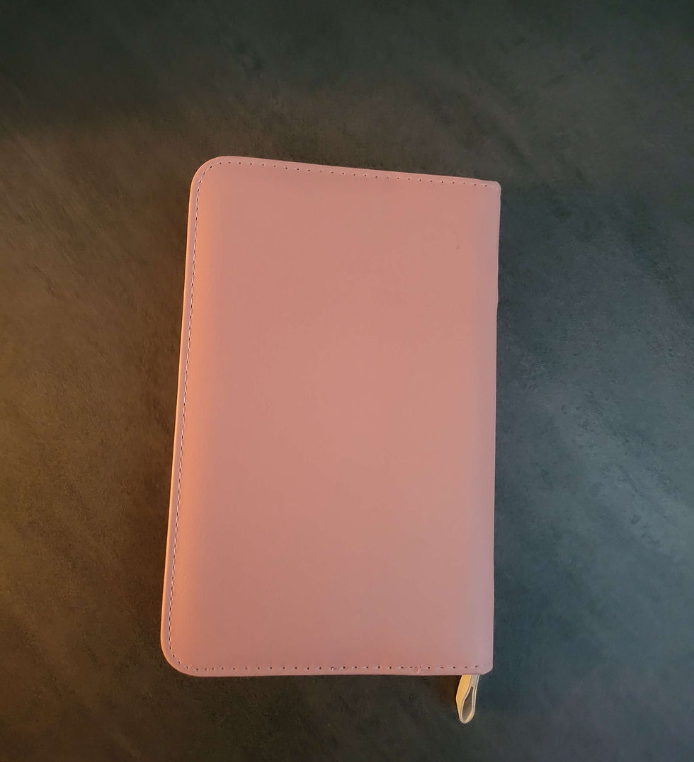 Thumbnail: Zipper Journal - Pink - JRNL001