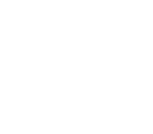 5TLAYeniRev.gif