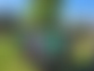 Erster sportlicher Vergleich für DSV Frauen