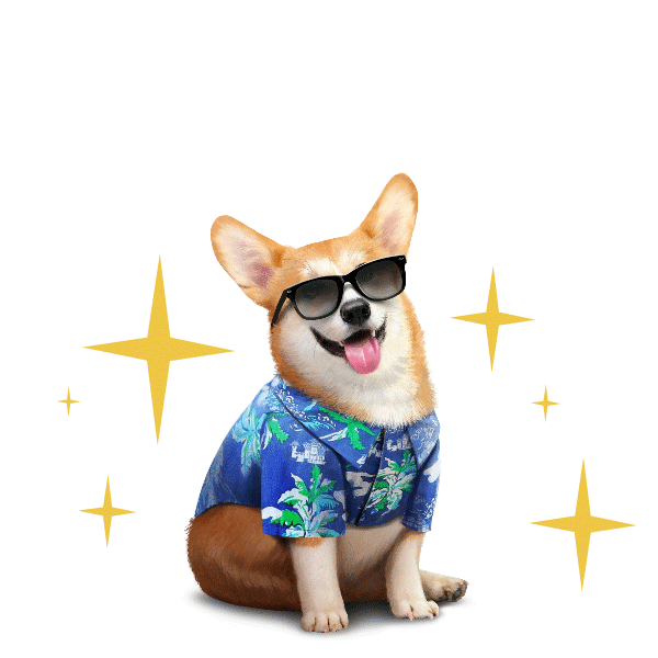Fashionista